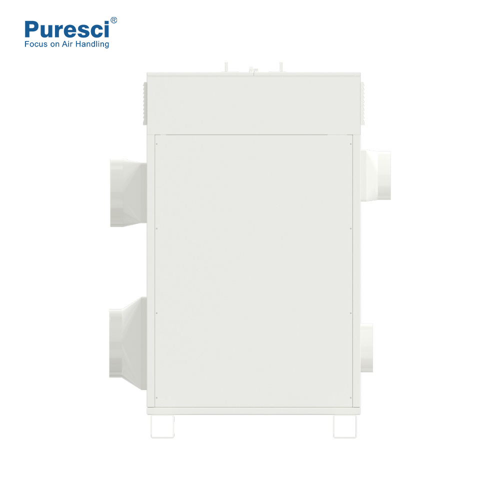 Puresci Deehumidifier ذاكرة الاكتتاب الذاتي الذاكرة الصناعية تنمو غرفة السيليكا هلام الرطوبة